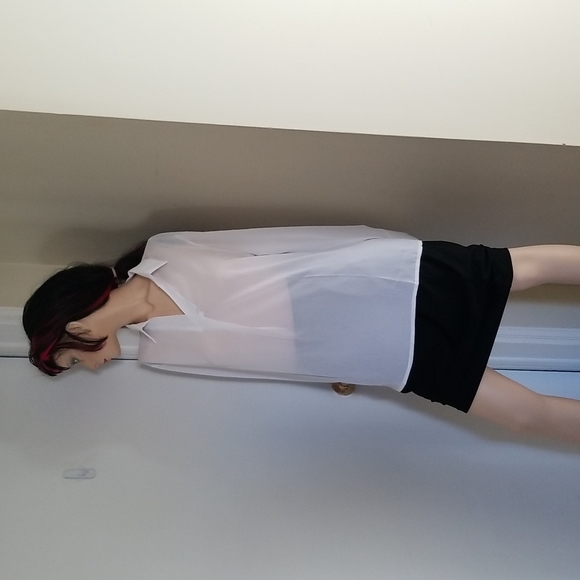 Clean Lines Sheer Blouse - Picture 4 of 9